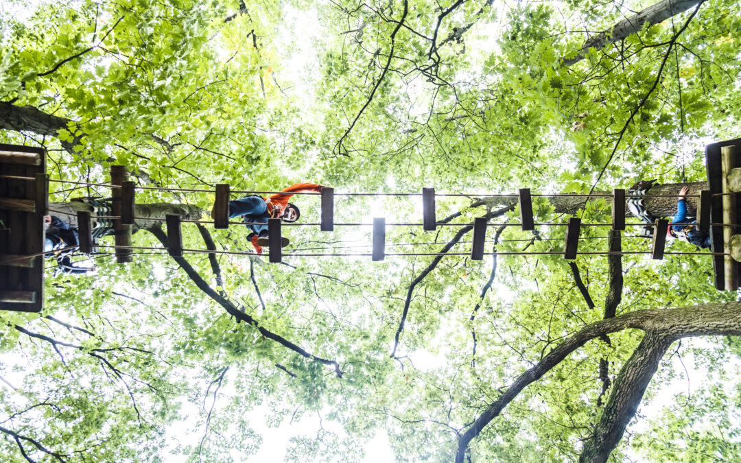 Trail mit Kletterern in den Baumwipfeln im Kletterpark Verden